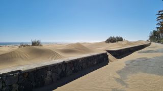 GC-Paseo Costa Canaria - Dunas 2023-033.jpg